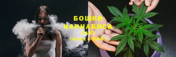гидропоника Горнозаводск