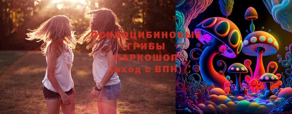 гидропоника Горнозаводск