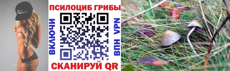 Псилоцибиновые грибы Cubensis  закладки  OMG ONION  Тимашёвск 