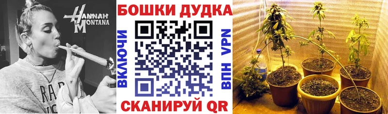 Бошки Шишки тримм Тимашёвск